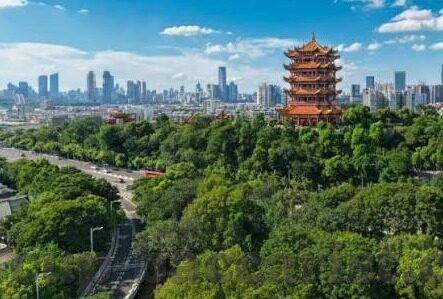 竞彩足球比分赛果-竞彩足球比分赛果，洞察赛场风云，把握投注先机