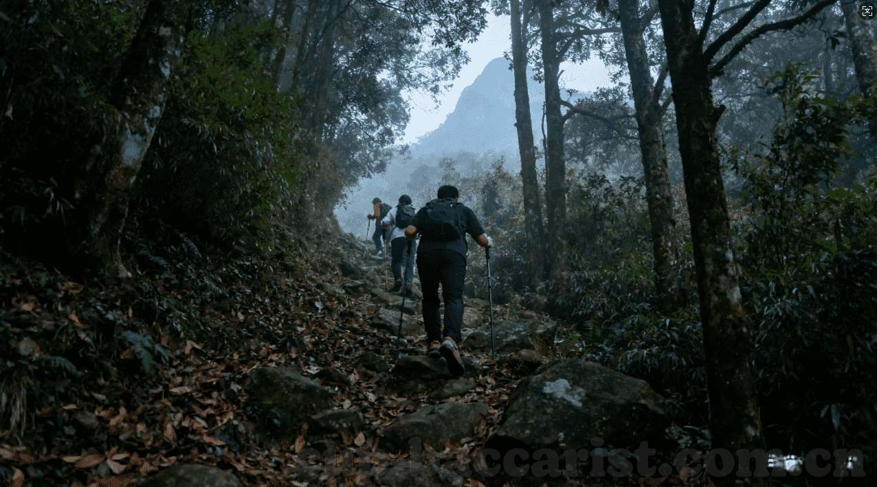 世界杯盘口开奖结果-世界杯盘口开奖结果的魅力与挑战